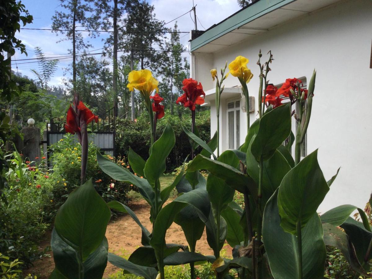 Ella Relax Inn Zewnętrze zdjęcie